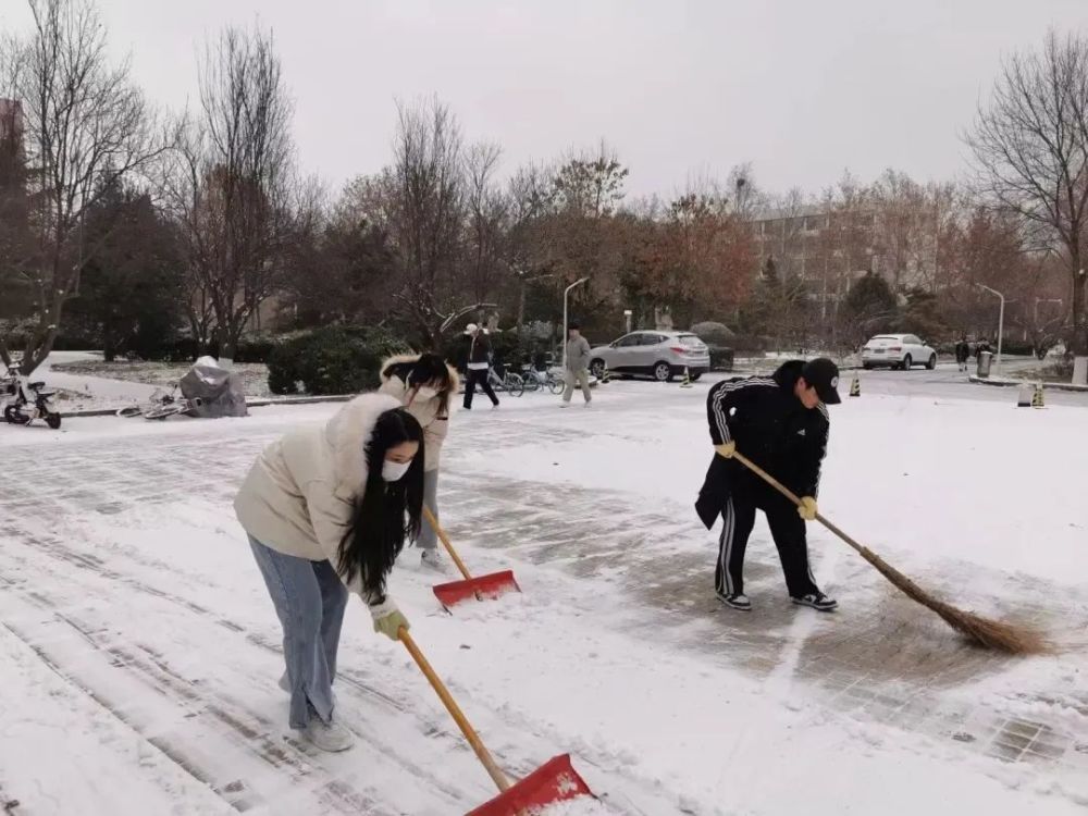 除雪劳动记雪后初晴校园里的路面又焕新