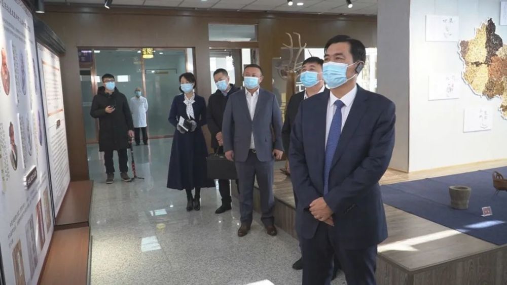 姜兴业就我区中医发展情况进行调研