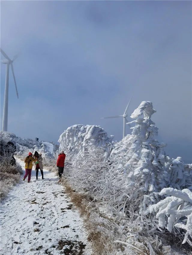 东白山的雪景,令人直叹,人间值得