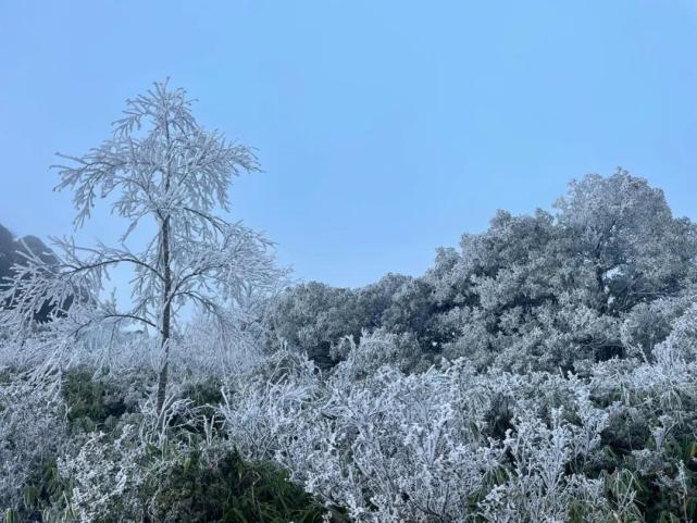 瞧广西这些地方的雾凇奇观是你幻想的冬日雪景吗