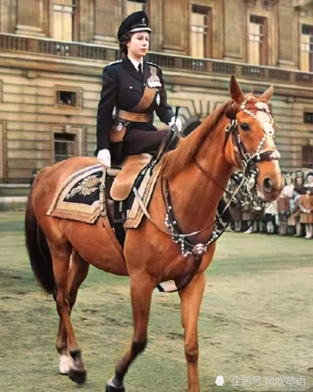 老照片在街头向美军乞讨的日本人骑马的英国女王伊丽莎白二世