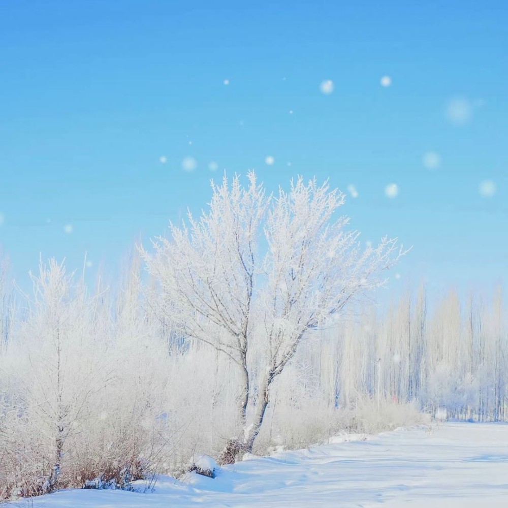 雪景背景图如果看到这里希望你快乐