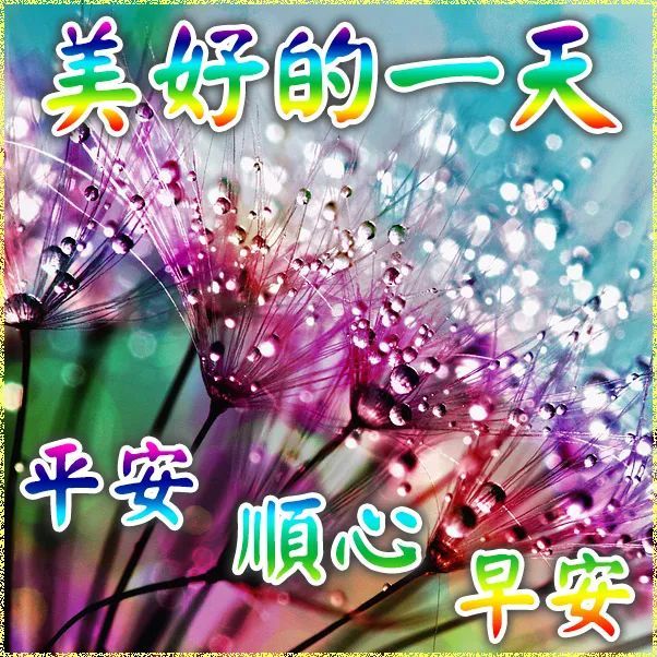 早上好图片带字和鲜花 早上好动态祝福图