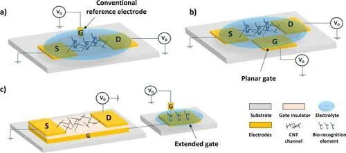电解门控碳纳米管场效应晶体管生物传感器前景广阔