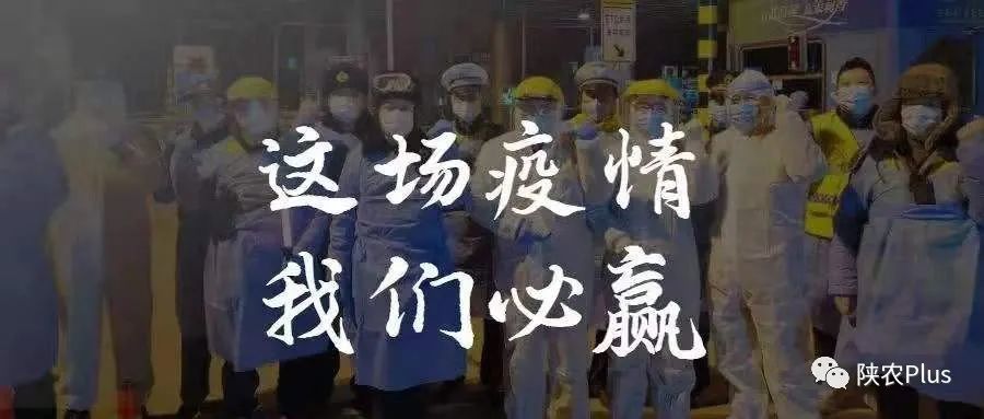 从一则故事看西安市民防疫抗疫宅在家里咋过活