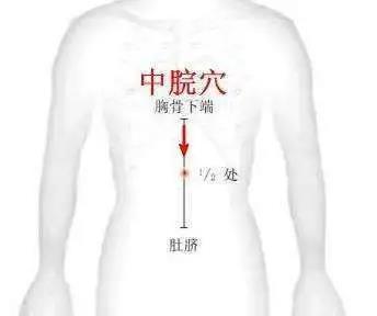 功效:和胃健脾,降逆利水.