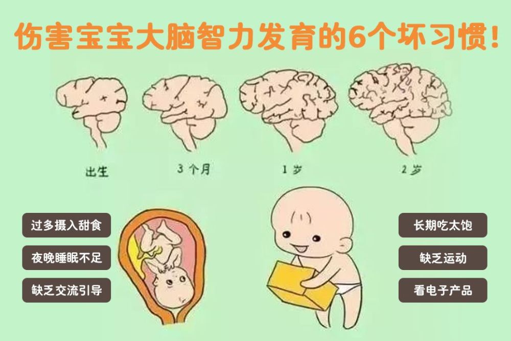 伤害宝宝大脑智力发育的6个坏习惯