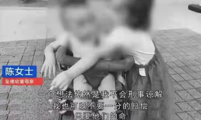 姐弟坠楼案即将宣判,生母陈美霖表示希望前夫陈波和小三叶某能够判处
