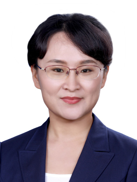 80后王艺再次当选共青团河南省委书记
