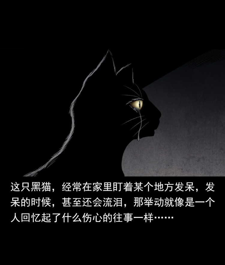 中国民间恐怖漫画黑猫流泪的黑猫