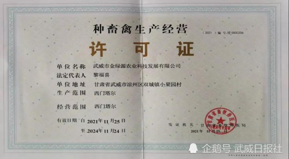 甘肃省武威市成功创办首家肉牛种畜场