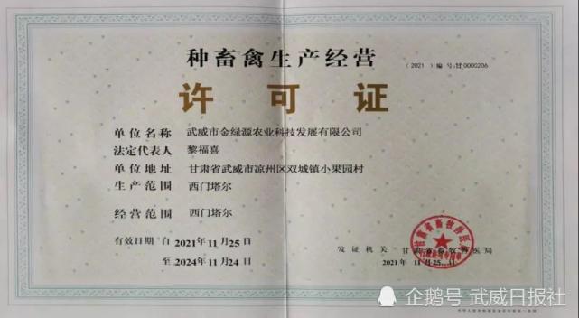 甘肃省武威市成功创办首家肉牛种畜场