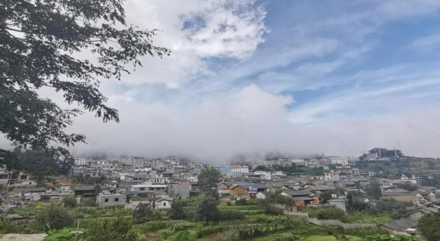 红河县浪堤镇属革命老区,素有花果之乡,驿路梨花之乡的美称.