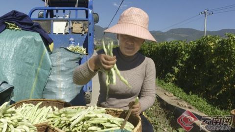 云南昌宁:一泓清渠润民心_腾讯新闻