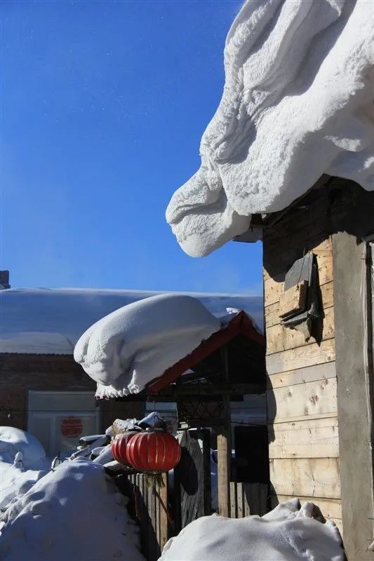 寒冬腊月雪满天,东北雾凇雪景分外绕