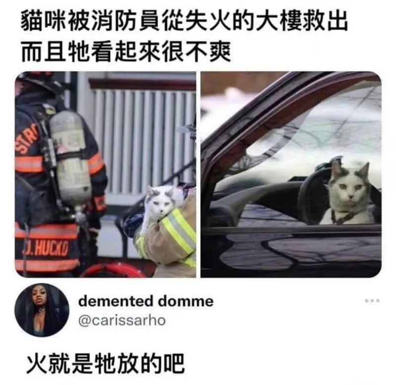 沙雕梗图37当你试图讲一个不冒犯任何人的笑话