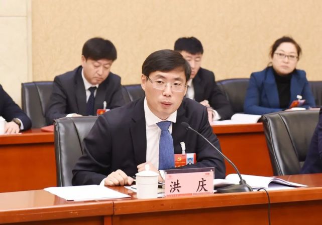 洪庆参加珲春代表团讨论:集聚产业提优环境扩大开放 在沿边近海地区独