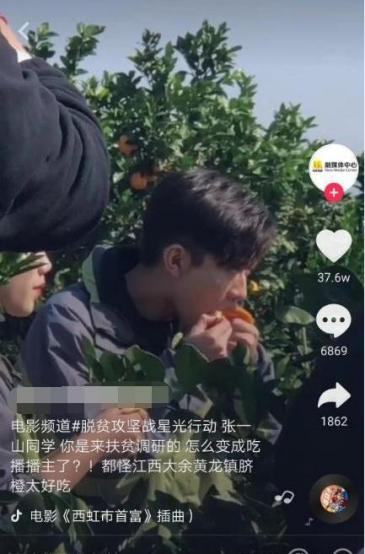 江西赣南脐橙网图片2