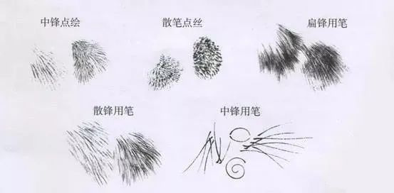 国画技法工笔老虎的画法形态丝毛步骤要点