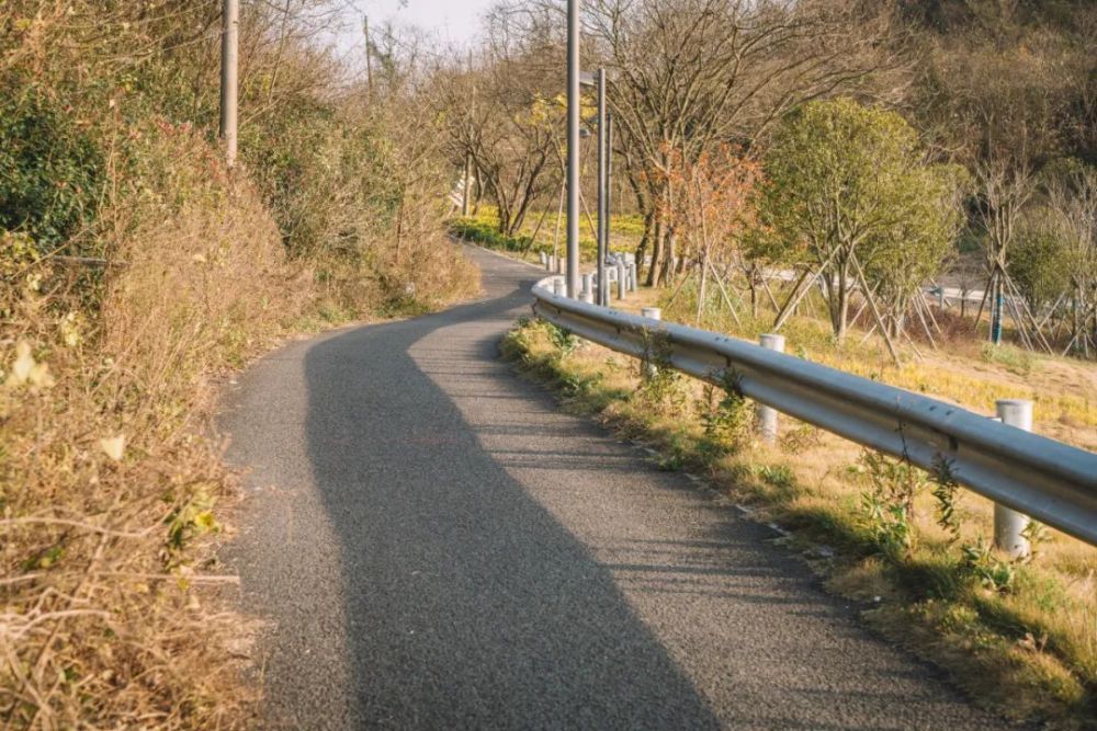 登上步道,湖水清丽,野趣盎然一个远眺,呼吸之间满是自由畅快不远处