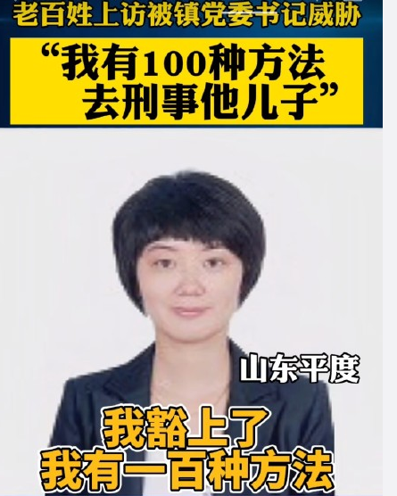 举平度之力刑事你儿子云山镇党委王丽书记好大的口气