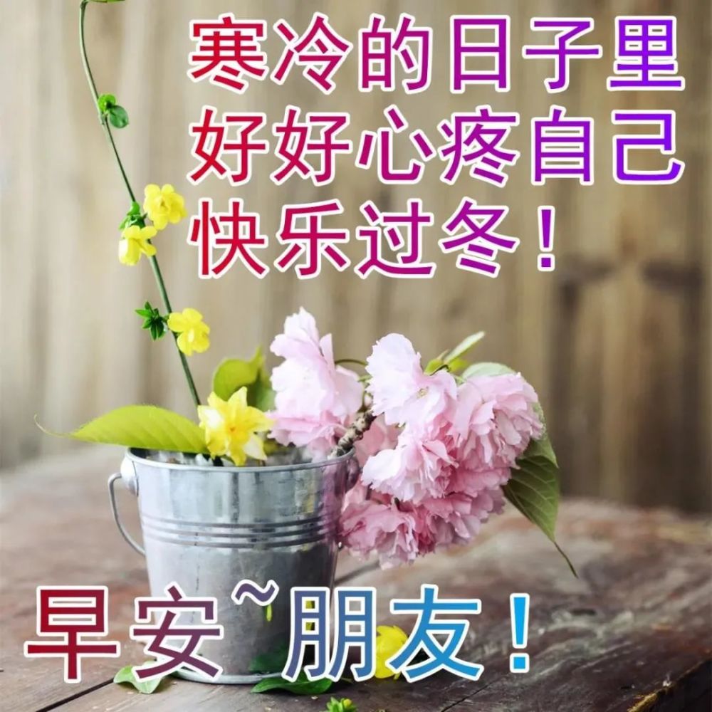 1月11日每日祝福