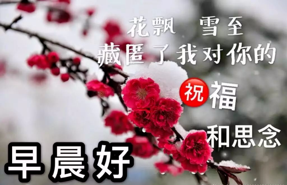 真心朋友早上好祝福图片精选早安心语问候美图