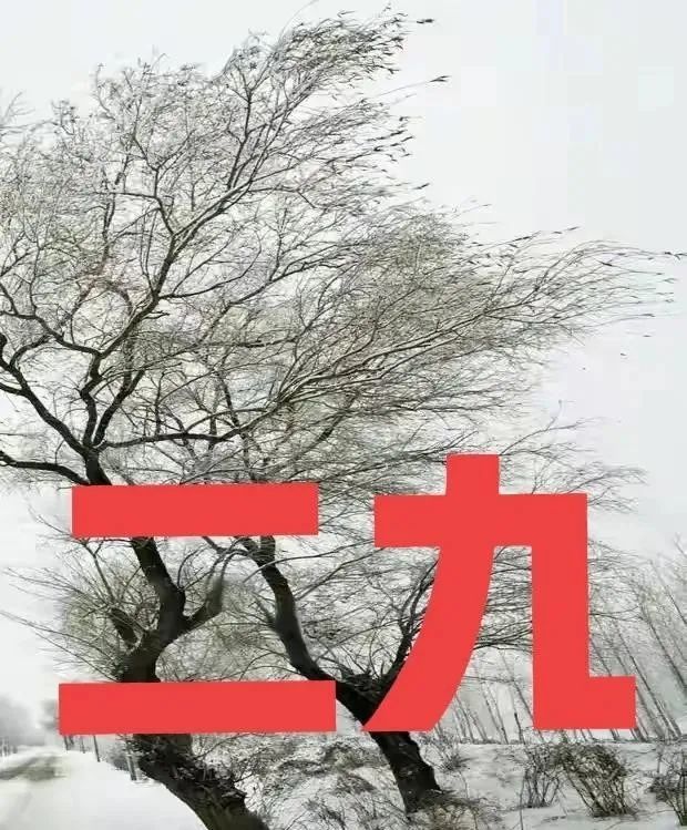 天气预报:明天进入"二九",下雪啥预兆?看看老祖宗留下的谚语