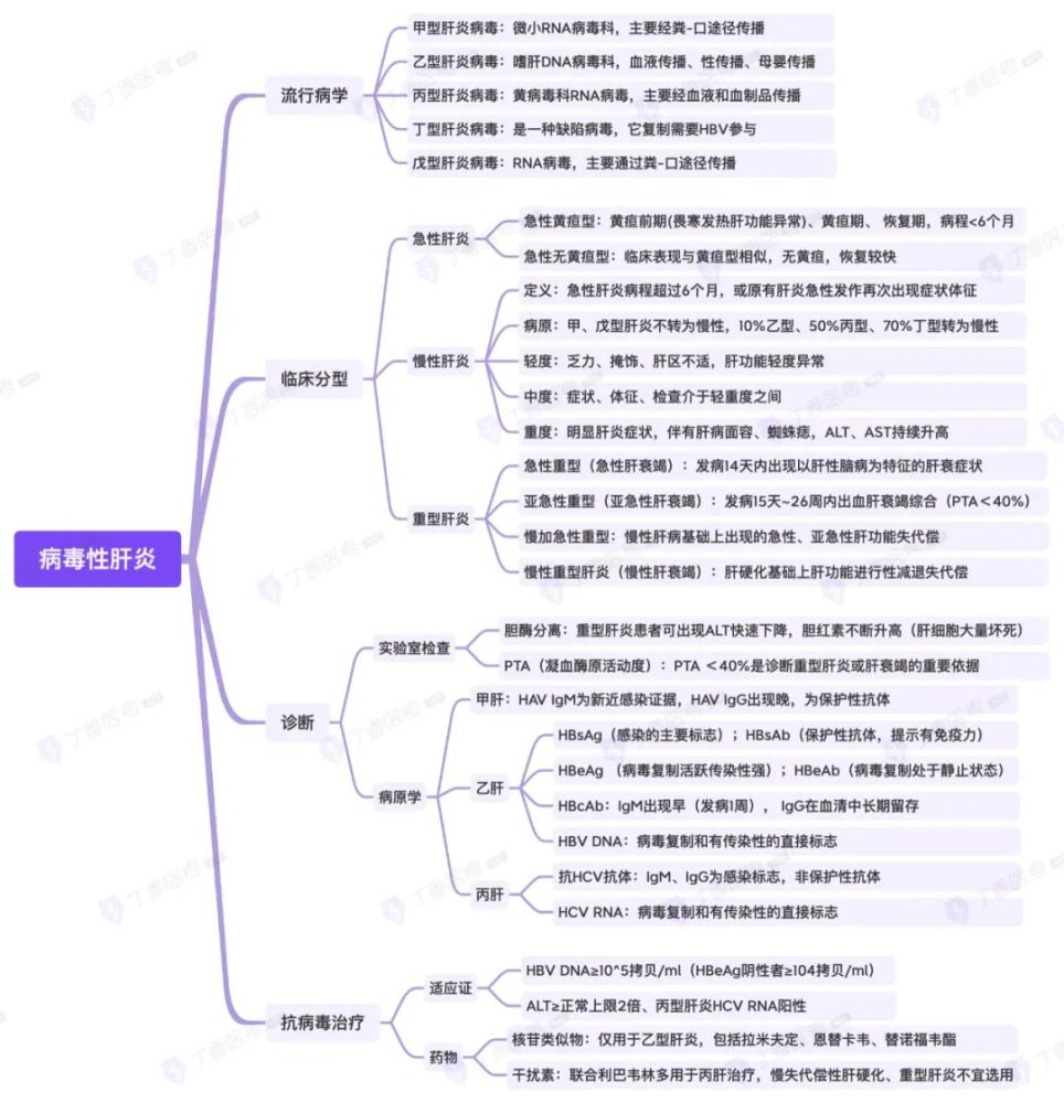 思维导图记忆病毒性肝炎的重要考点