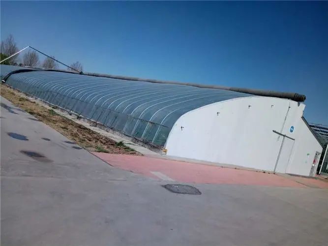 地理拓展温室与阴阳棚有什么区别