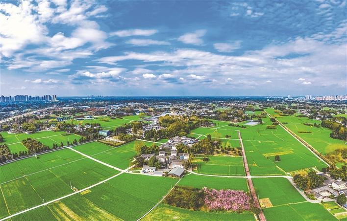 日前,家住四川省成都市温江区和盛镇綦临社区的谷大爷一大早就来到鲁