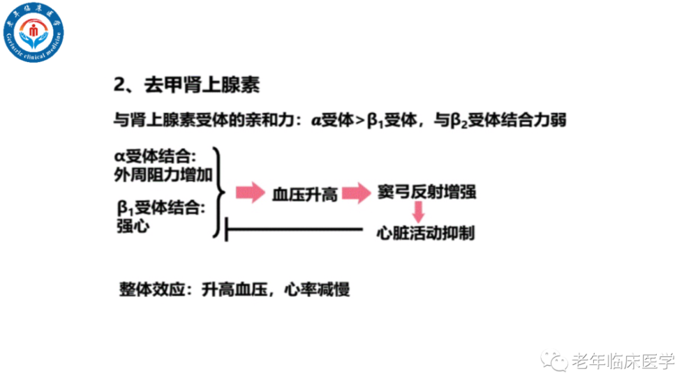 去甲肾上腺素使用方法