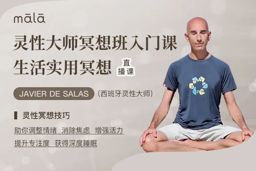 了解如何在最需要的时候轻松学习练习冥想