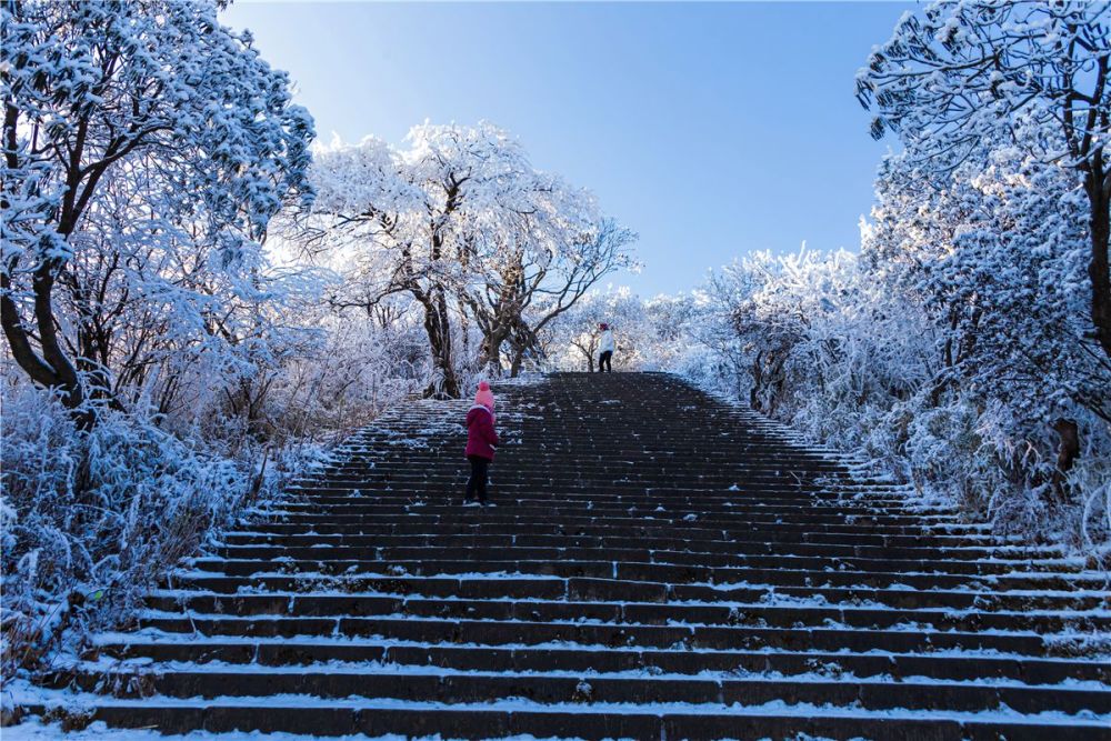 绝了这就是千佛山的冬天