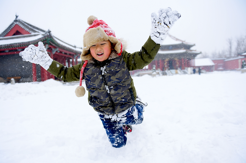 拾壹·冰雪嘉年华皇姑区北陵公园(冰雪嘉年华)—新乐遗址—百鸟公园