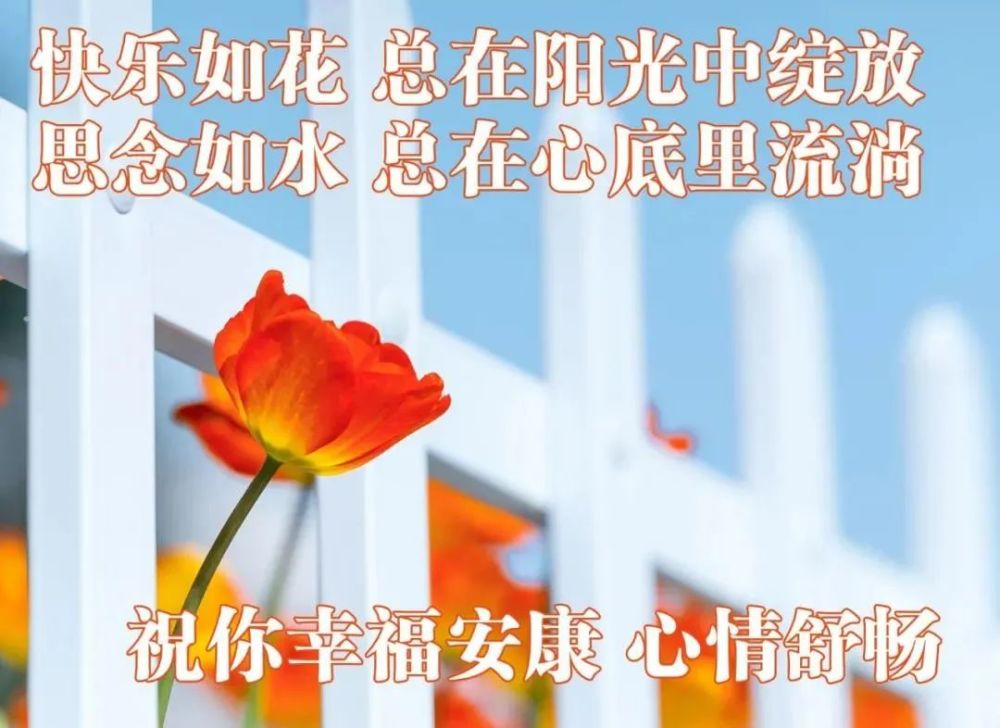 早晨好唯美图片带字温馨早上好祝福短信大全冬日清新祝福语图2022