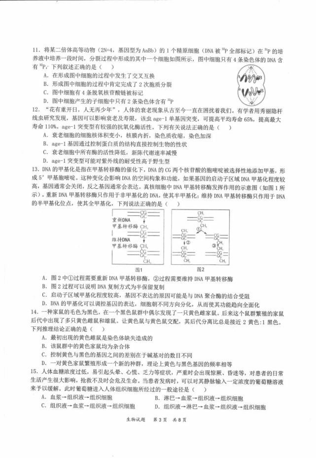 生物试卷2022届高三第一次t8八校联考生物试题参考答案