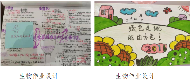 改革创新双减工作改革创新成效