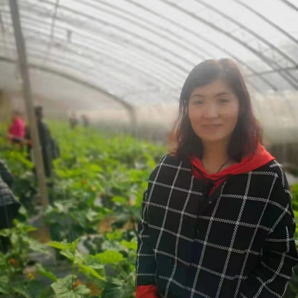 请为三争三好市区交通秩序整治最美巾帼志愿者点赞
