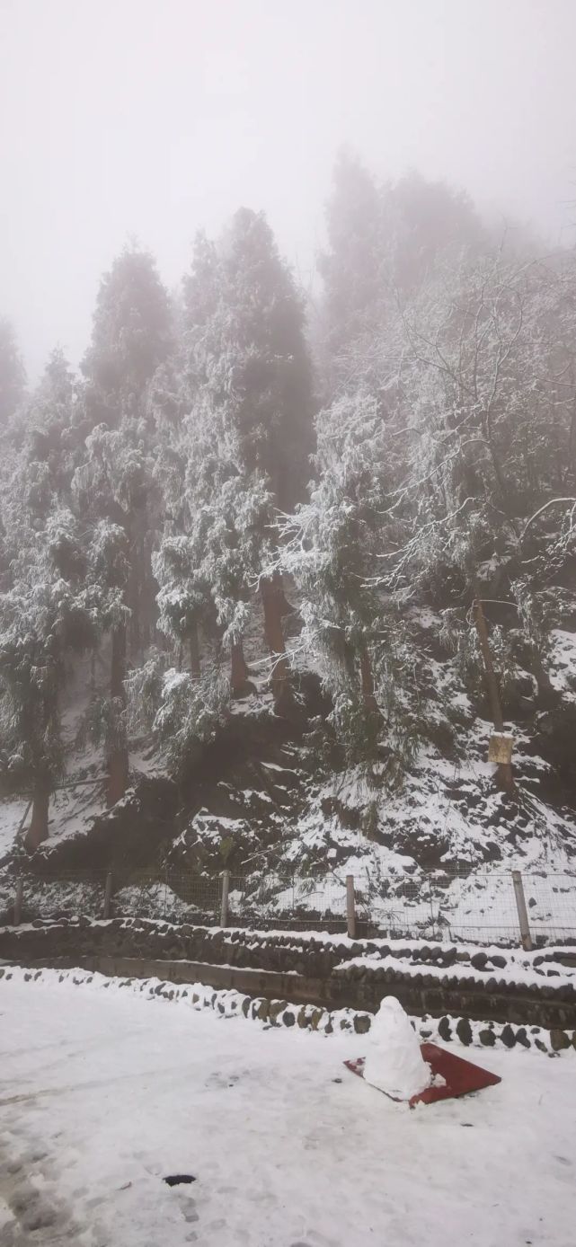 今日实拍神瀑沟雪景,元旦约吗?