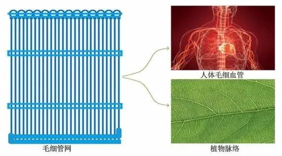 什么是毛细管网辐射系统