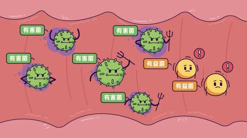 知识普及自闭症的辅助治疗方向肠道篇