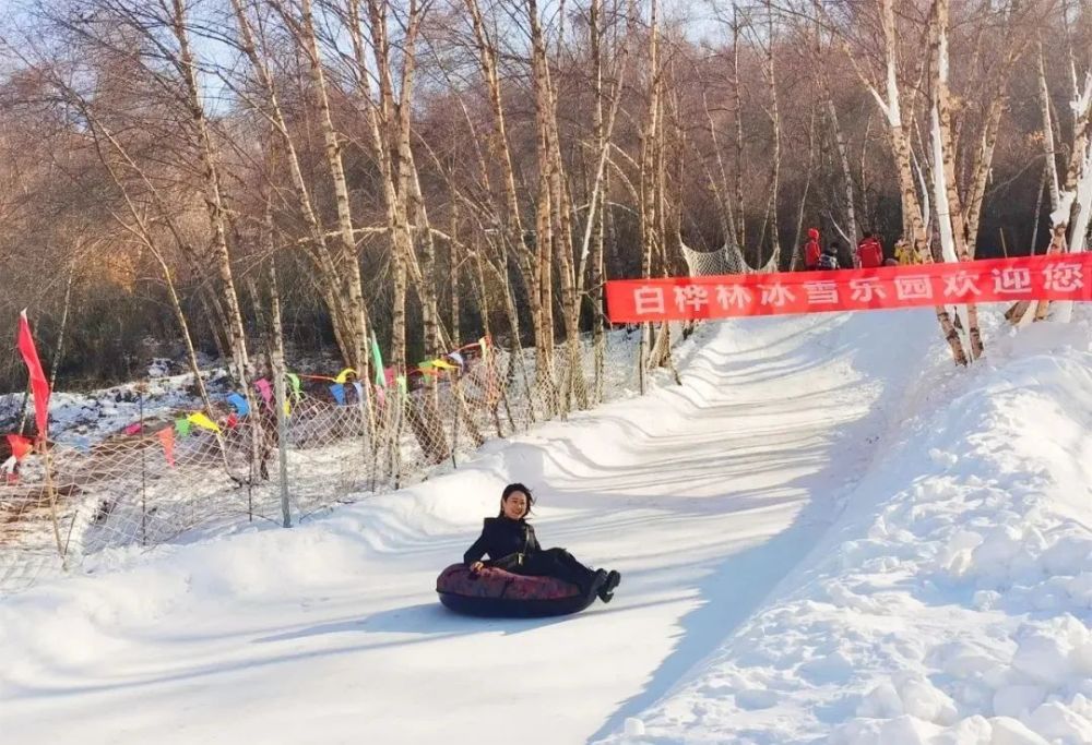 来兰州去哪里请到临夏康乐白桦林来