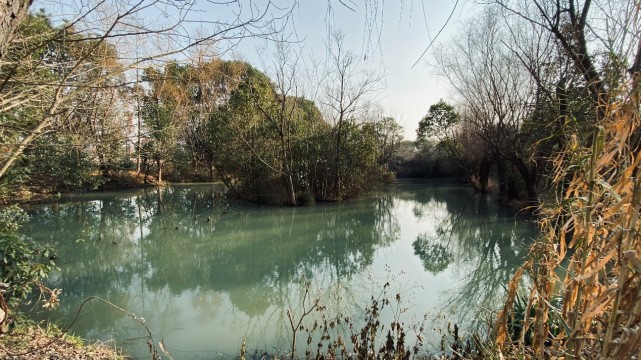 徒步天然氧吧-同里国家湿地公园