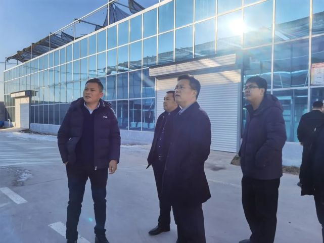 临清先锋,青年,新华街道新一届党政"一把手"确定