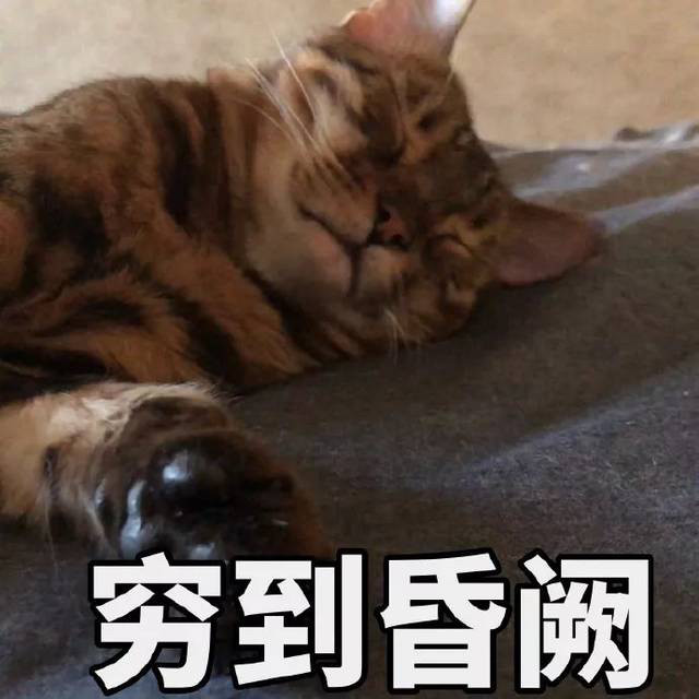 可爱哭穷表情包怎么才能把我脑子里都钱转到银行卡里