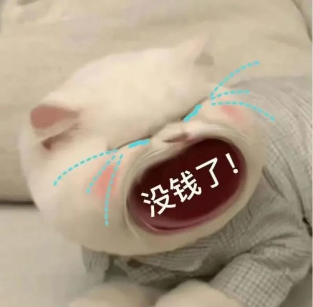 表情包:要零花钱表情合集