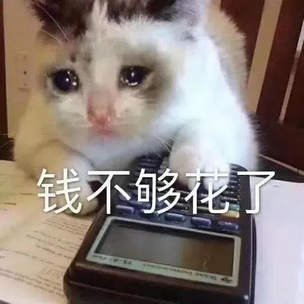 要零花钱表情包汇总要零花钱就要多种多样