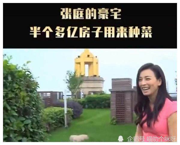 张庭8亿豪宅内景曝光拥有空中花园装潢是巴洛克风相当贵气