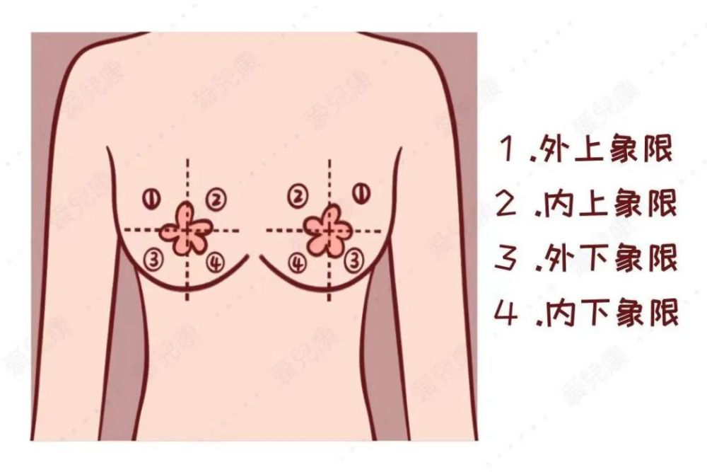 而乳腺癌的肿块大多在单侧乳房;而且,乳腺癌肿块的位置好发于乳房的外